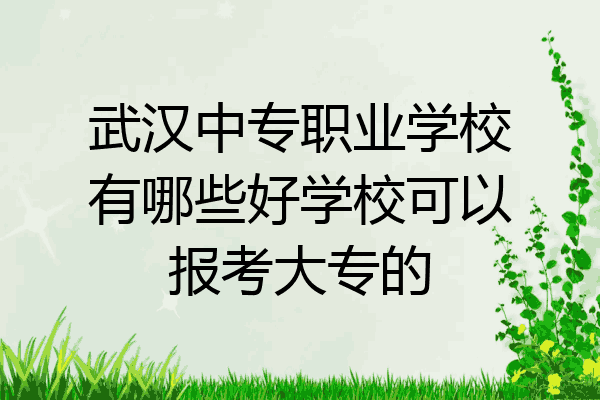 武汉中专职业学校有哪些好学校可以报考大专的