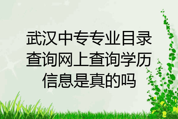 武汉中专专业目录查询网上查询学历信息是真的吗