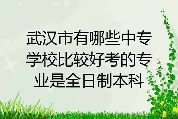 武汉市有哪些中专学校比较好考的专业是全日制本科