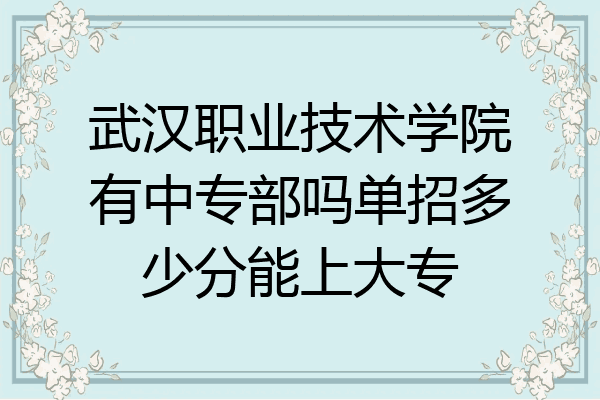 武汉职业技术学院有中专部吗单招多少分能上大专