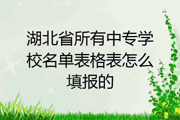 湖北省所有中专学校名单表格表怎么填报的