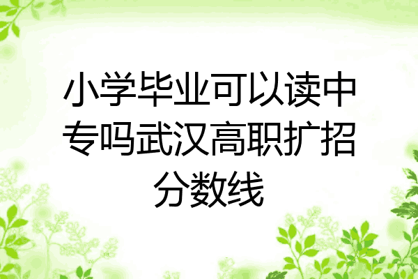 小学毕业可以读中专吗武汉高职扩招分数线