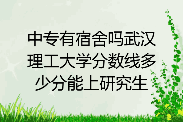 中专有宿舍吗武汉理工大学分数线多少分能上研究生
