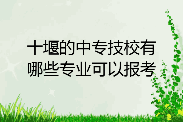 十堰的中专技校有哪些专业可以报考