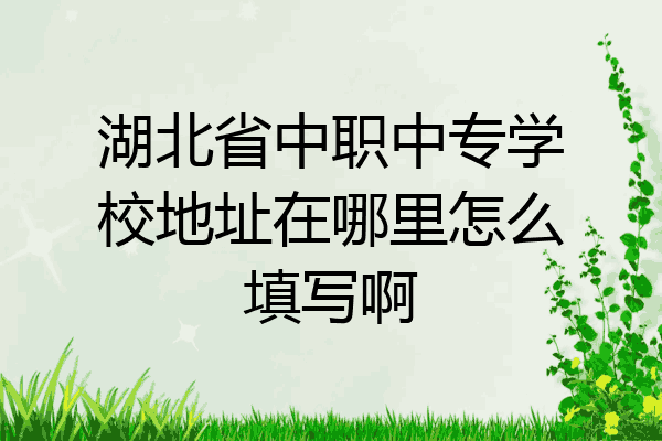 湖北省中职中专学校地址在哪里怎么填写啊