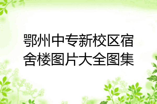 鄂州中专新校区宿舍楼图片大全图集