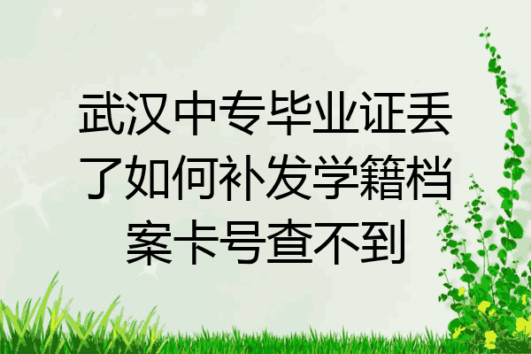 武汉中专毕业证丢了如何补发学籍档案卡号查不到