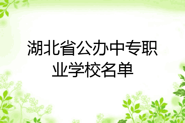 湖北省公办中专职业学校名单
