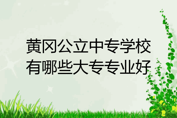 黄冈公立中专学校有哪些大专专业好