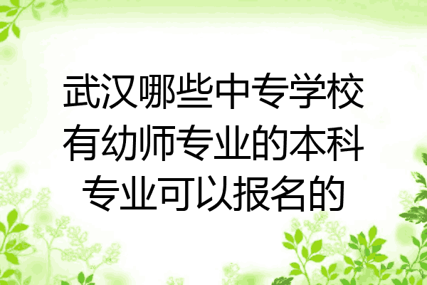 武汉哪些中专学校有幼师专业的本科专业可以报名的