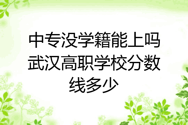 中专没学籍能上吗武汉高职学校分数线多少