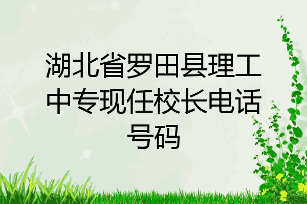 湖北省罗田县理工中专现任校长电话号码