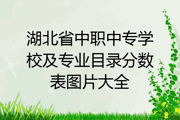 湖北省中职中专学校及专业目录分数表图片大全