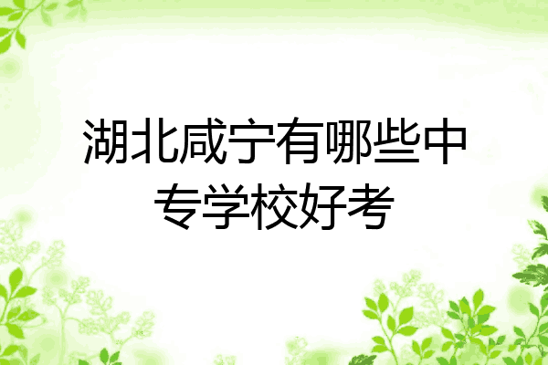 湖北咸宁有哪些中专学校好考