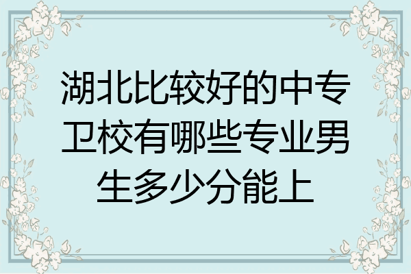 湖北比较好的中专卫校有哪些专业男生多少分能上
