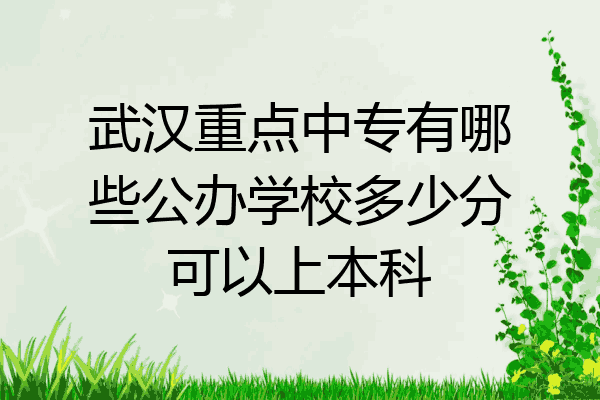武汉重点中专有哪些公办学校多少分可以上本科