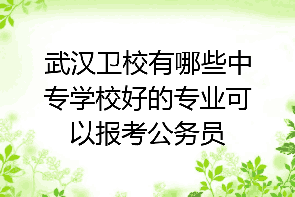 武汉卫校有哪些中专学校好的专业可以报考公务员