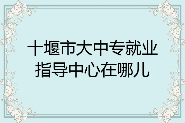 十堰市大中专就业指导中心在哪儿