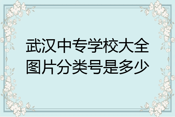 武汉中专学校大全图片分类号是多少