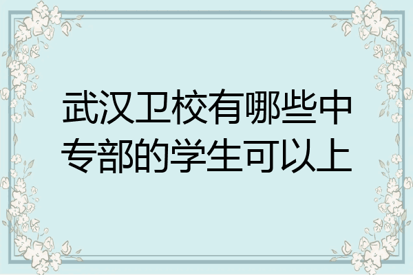 武汉卫校有哪些中专部的学生可以上