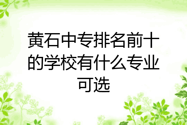 黄石中专排名前十的学校有什么专业可选
