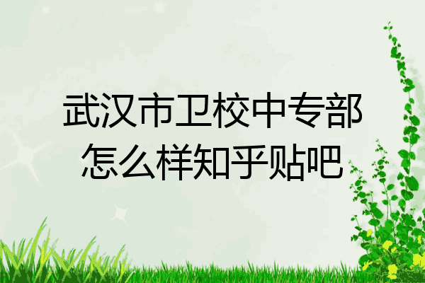 武汉市卫校中专部怎么样知乎贴吧