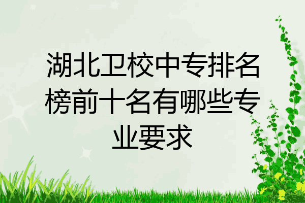 湖北卫校中专排名榜前十名有哪些专业要求