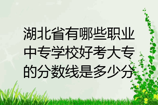 湖北省有哪些职业中专学校好考大专的分数线是多少分