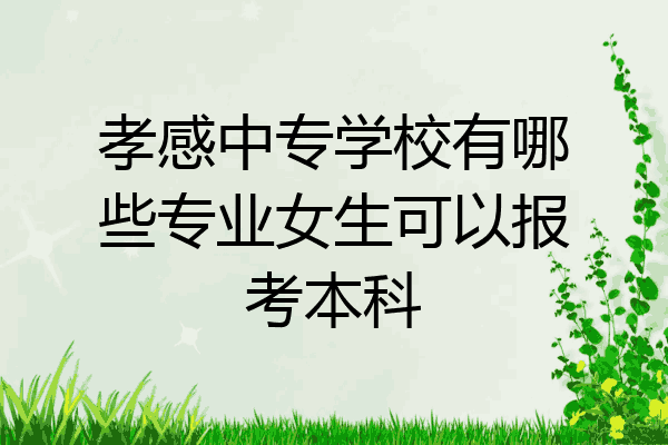孝感中专学校有哪些专业女生可以报考本科