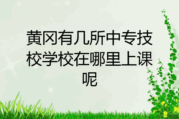 黄冈有几所中专技校学校在哪里上课呢