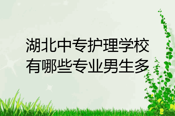 湖北中专护理学校有哪些专业男生多