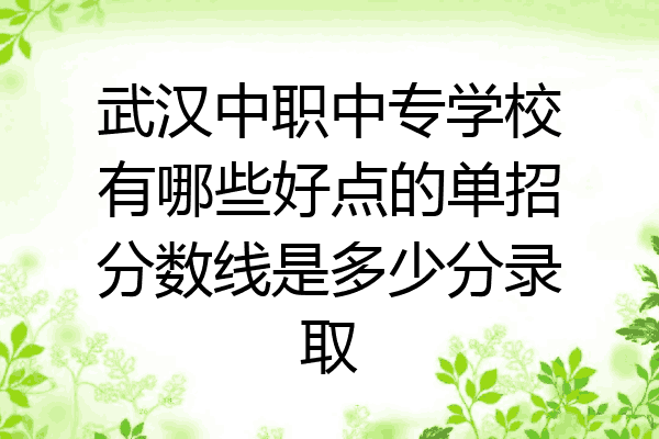 武汉中职中专学校有哪些好点的单招分数线是多少分录取