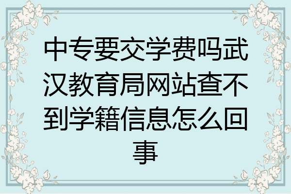 中专要交学费吗武汉教育局网站查不到学籍信息怎么回事