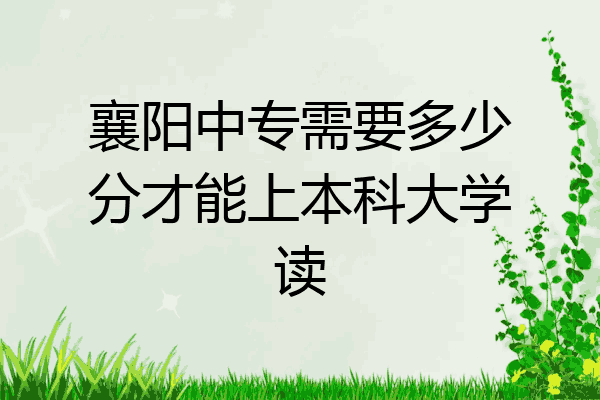 襄阳中专需要多少分才能上本科大学读