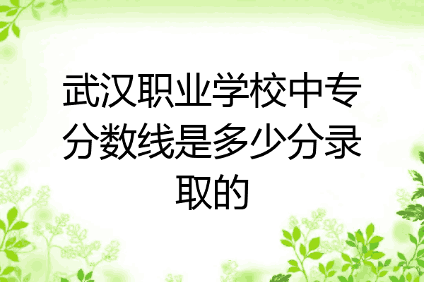 武汉职业学校中专分数线是多少分录取的