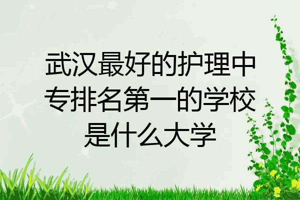 武汉最好的护理中专排名第一的学校是什么大学