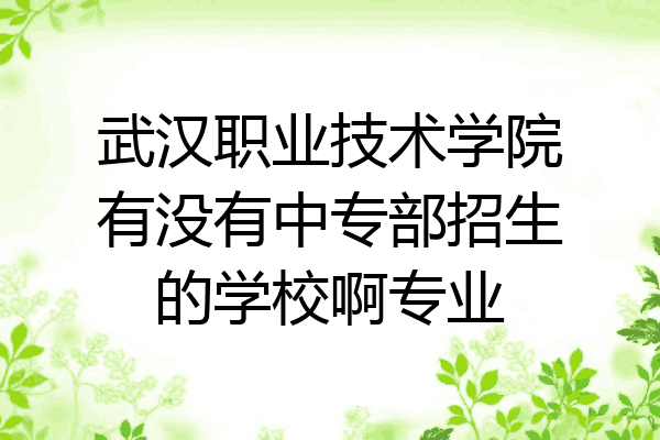 武汉职业技术学院有没有中专部招生的学校啊专业