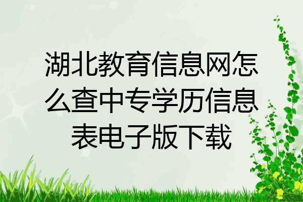 湖北教育信息网怎么查中专学历信息表电子版下载