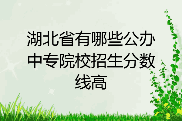 湖北省有哪些公办中专院校招生分数线高