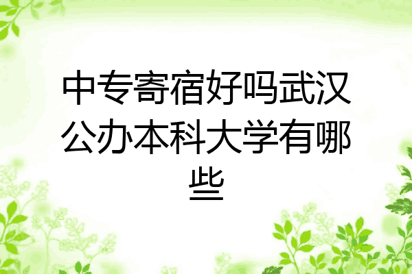 中专寄宿好吗武汉公办本科大学有哪些