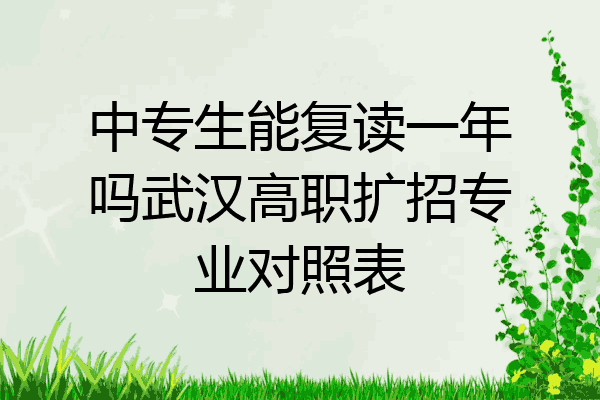 中专生能复读一年吗武汉高职扩招专业对照表
