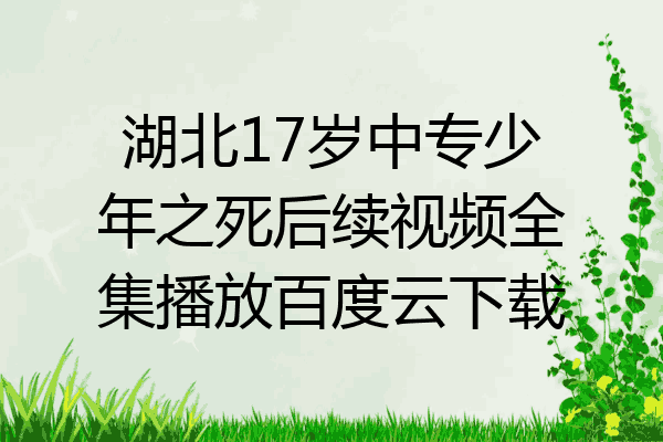 湖北17岁中专少年之死后续视频全集播放百度云下载