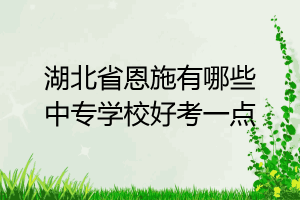 湖北省恩施有哪些中专学校好考一点