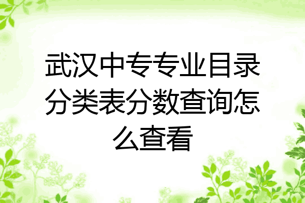 武汉中专专业目录分类表分数查询怎么查看