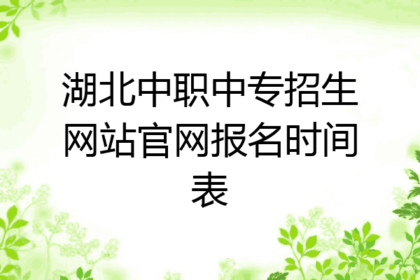 湖北中职中专招生网站官网报名时间表