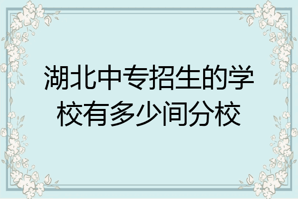湖北中专招生的学校有多少间分校
