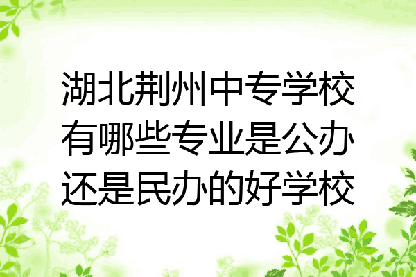 湖北荆州中专学校有哪些专业是公办还是民办的好学校