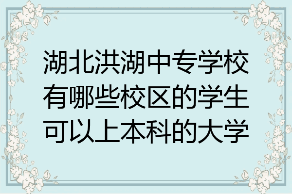 湖北洪湖中专学校有哪些校区的学生可以上本科的大学
