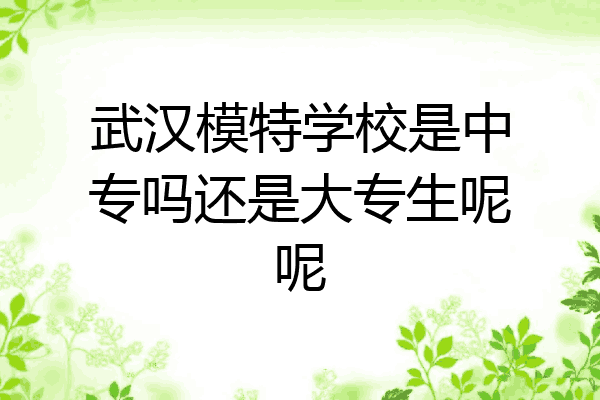 武汉模特学校是中专吗还是大专生呢呢