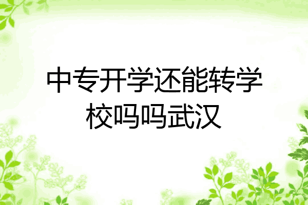 中专开学还能转学校吗吗武汉